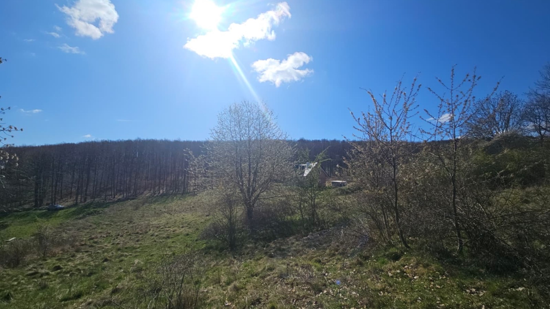 Działka na sprzedaż