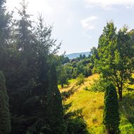 Dom na sprzedaż